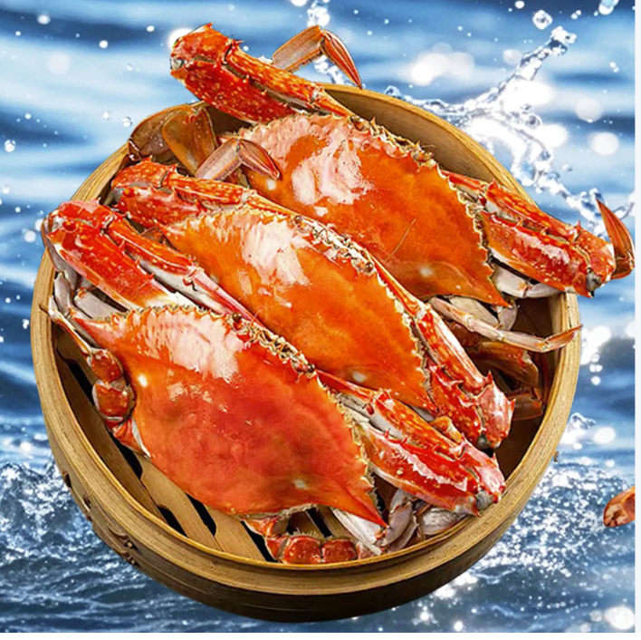 Frozen Blue Swimming Crab