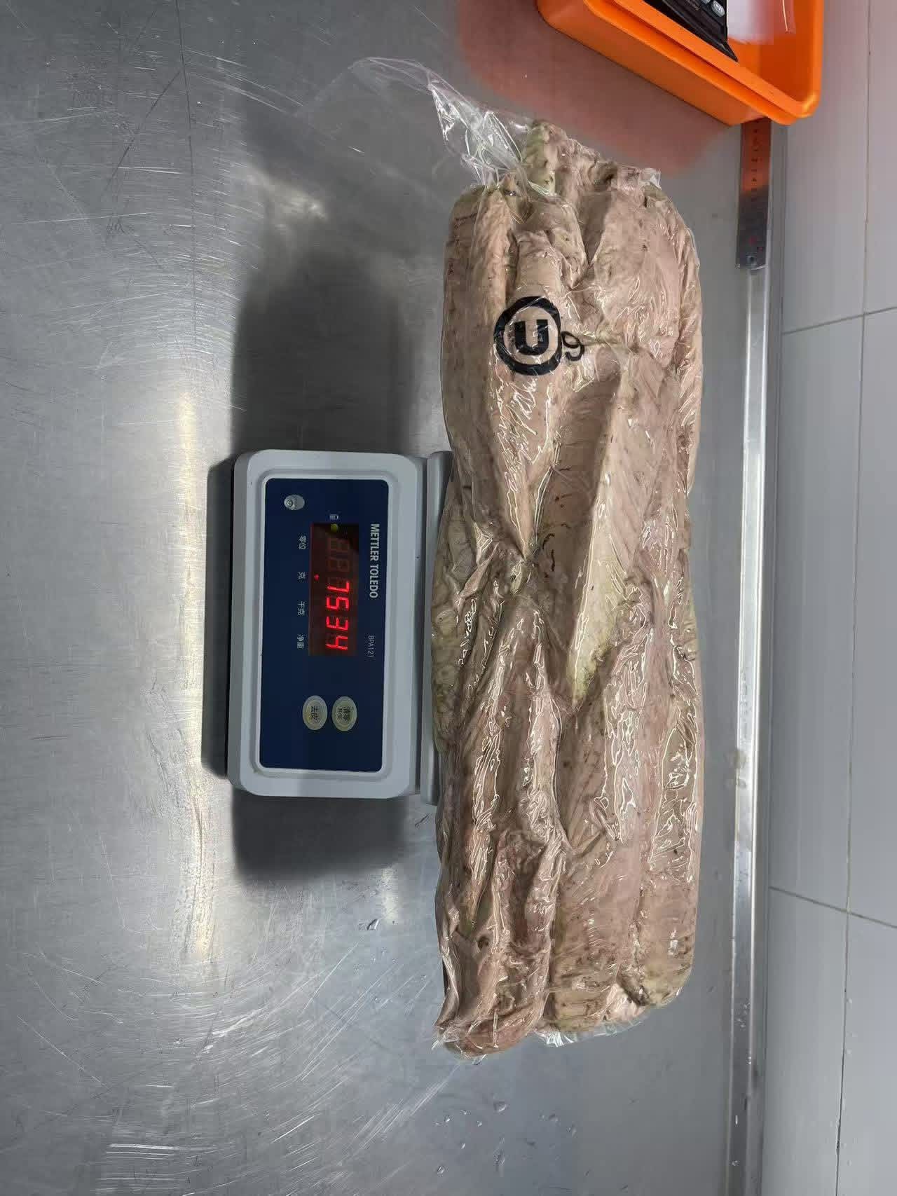 Frozen Tuna Loins Production