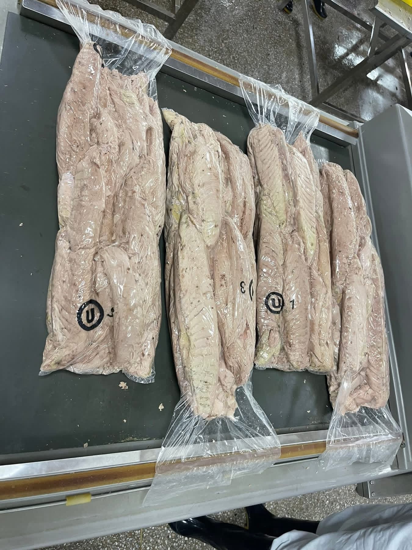 Tuna Loins Block Frozen