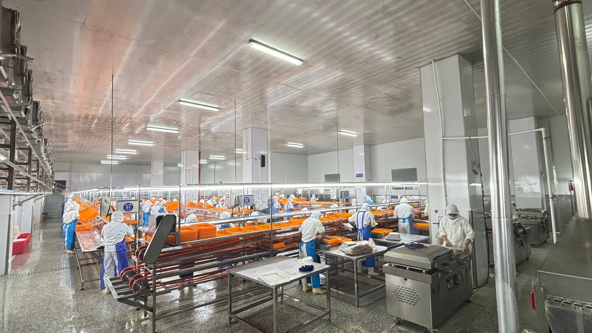 Tuna Loins Quality Check