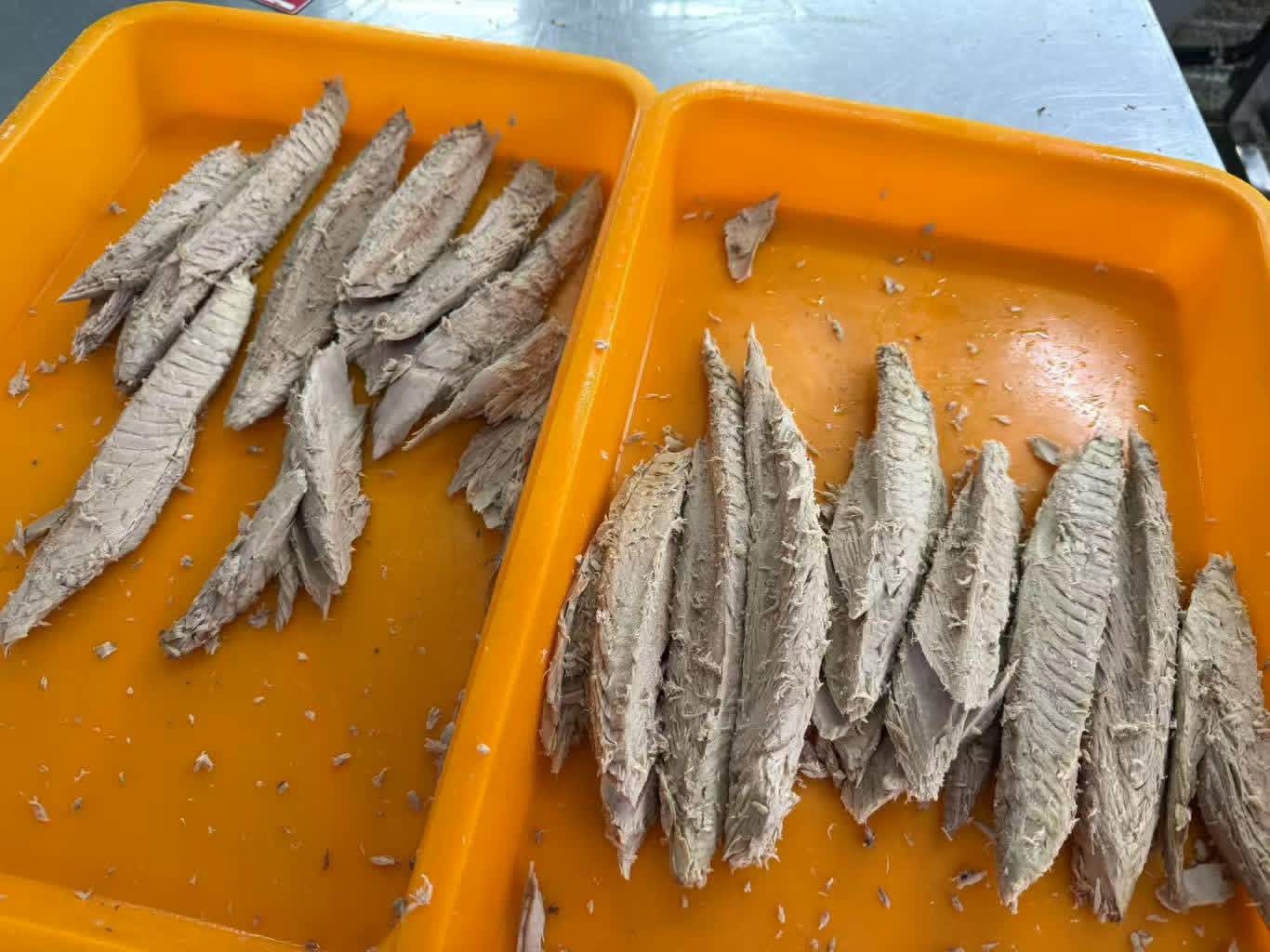 Tuna Loins Container Loading