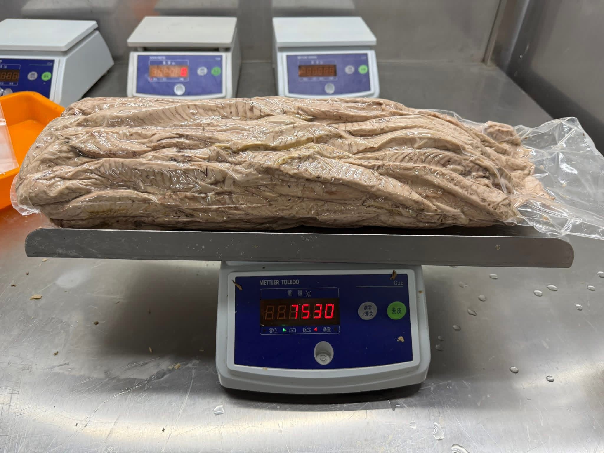 Tuna Loins Warehouse